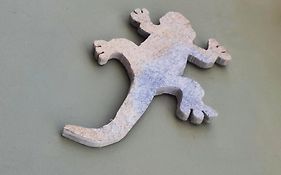 Casa Lagarto